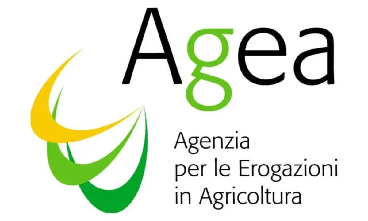 Logo AGEA: Agenzia per le Erogazioni in Agricoltura. Un concorso AGEA è un'opportunità per il settore agricolo.