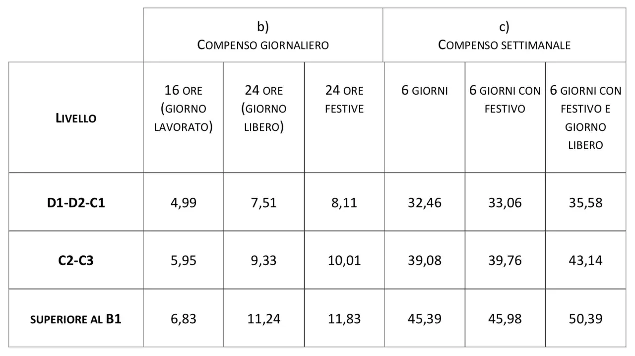 Tabella con livelli metalmeccanici e compensi giornalieri/settimanali. Mostra tariffe per ore lavorate, giorni liberi e festivi.