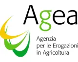 Logo AGEA: Agenzia per le Erogazioni in Agricoltura. Un concorso AGEA è un'opportunità per il settore agricolo.