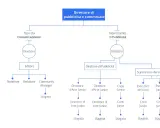 Organigramma esempio: Direttore di pubblicità e commerciale con dipartimenti Comunicazione e Pubblicità, ruoli e stagisti.