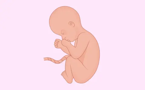 Feto in posizione fetale, con le mani sul viso, pronto per le ferie durante l'ottavo mese di gravidanza.