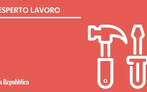 Esperto Lavoro: martello e cacciavite, simboli di chi lavora sodo per la busta paga.