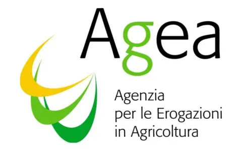 Logo AGEA: Agenzia per le Erogazioni in Agricoltura. Un concorso AGEA è un'opportunità per il settore agricolo.