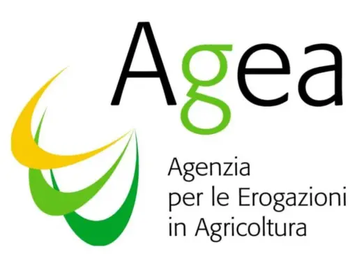 Logo AGEA: Agenzia per le Erogazioni in Agricoltura. Un concorso AGEA è un'opportunità per il settore agricolo.