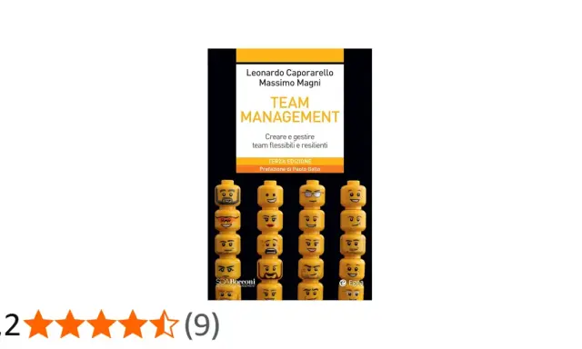 Copertina libro "Team Management" con faccine Lego, che simboleggiano la gestione di un team.