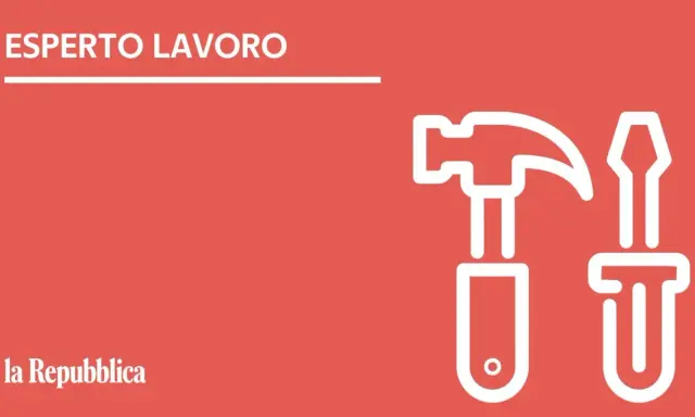 Esperto Lavoro: martello e cacciavite, simboli di chi lavora sodo per la busta paga.