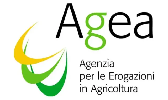 Logo AGEA: Agenzia per le Erogazioni in Agricoltura. Un concorso AGEA è un'opportunità per il settore agricolo.