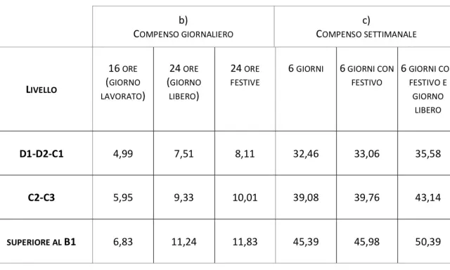Tabella con livelli metalmeccanici e compensi giornalieri/settimanali. Mostra tariffe per ore lavorate, giorni liberi e festivi.