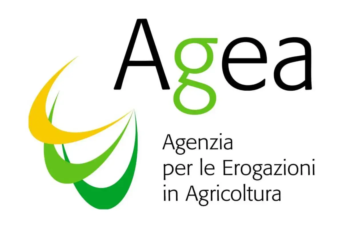 Logo AGEA: Agenzia per le Erogazioni in Agricoltura. Simbolo di un concorso per l'agricoltura.